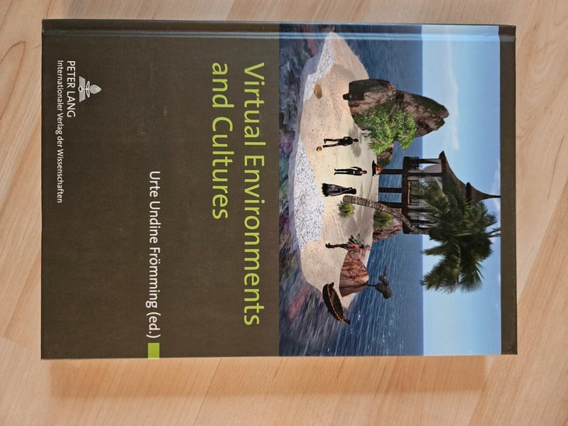 Virtual Environments and cultures