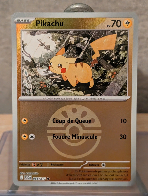 Pikachu 055/217 reverse pokéball - Héros Transcendants