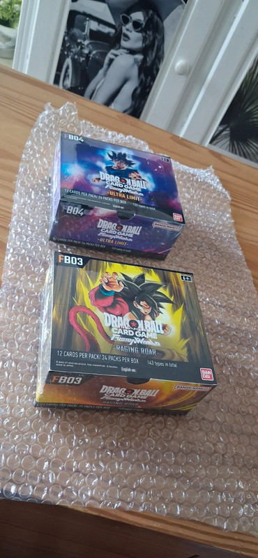 Dragon Ball Fb03 Fb04