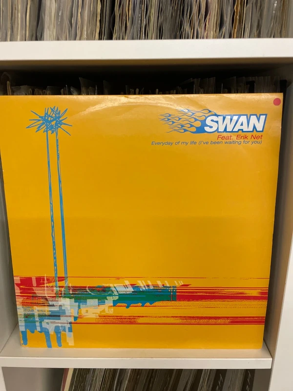 12" Deep House - Swan – Every Day Of My Life (I've Been Waiting For You)