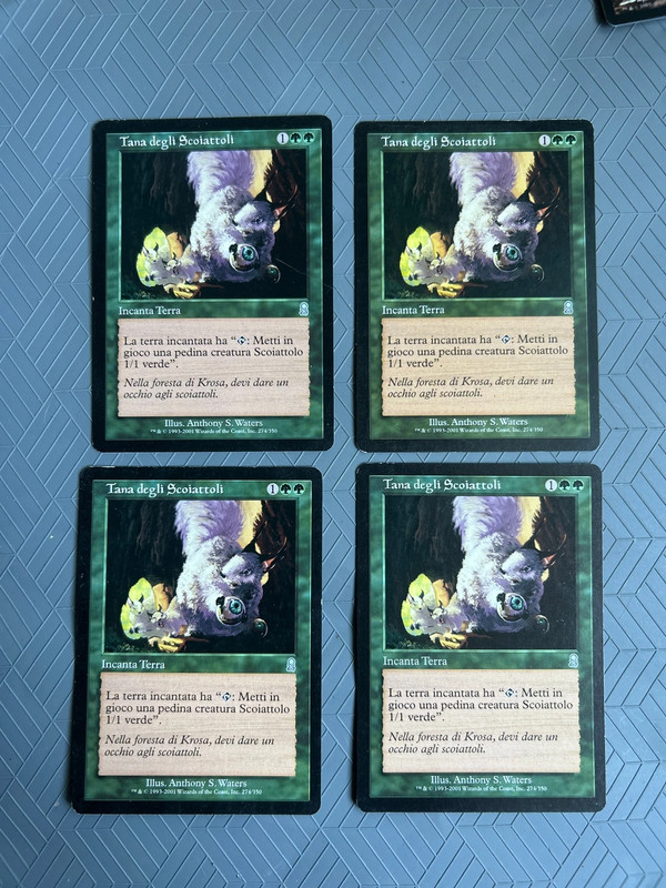 Squirrel nest - 4x mtg