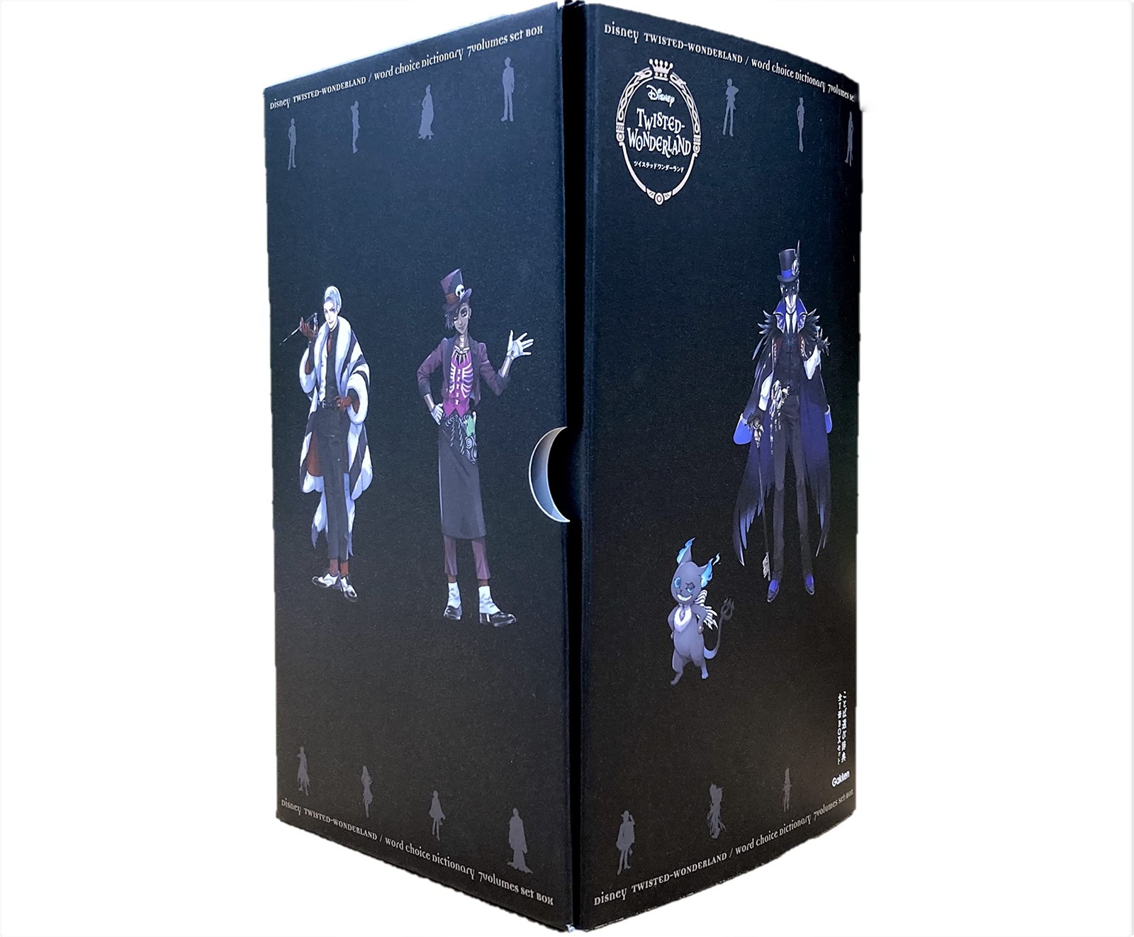 Disney Twisted Wonderland dizionario selezione parole tutti i 7 libri... forma libro JP