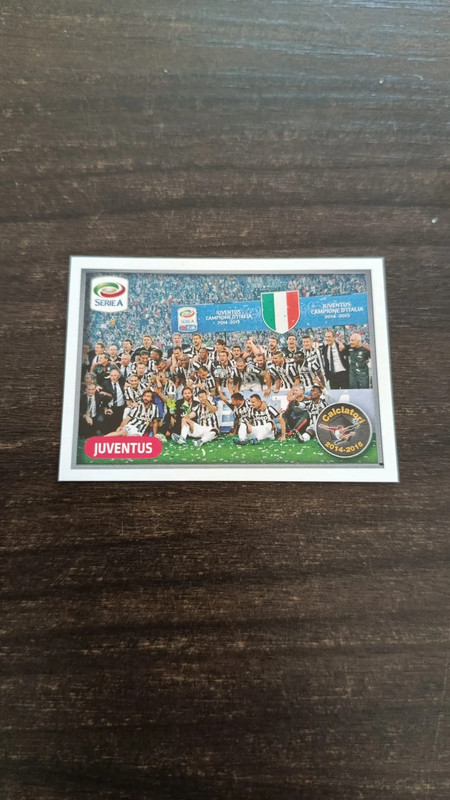 figurina calciatori 2014-15 V13 panini