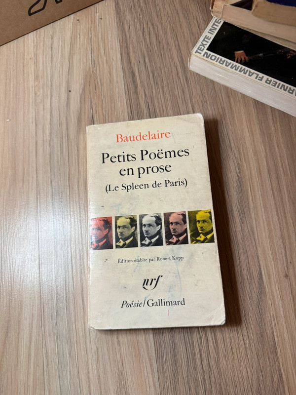 Charles Baudelaire - Petits Poëmes en prose (Le Spleen de Paris) / Poésie Gallimard