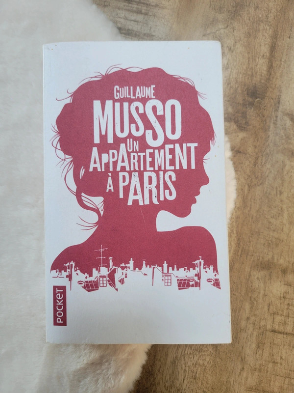 Livre Un appartement à Paris de Guillaume Musso