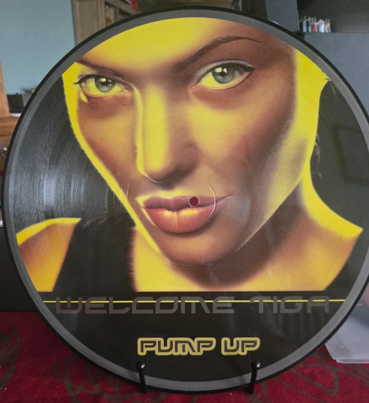 Picture disc maxi 45 tours welcome tiga