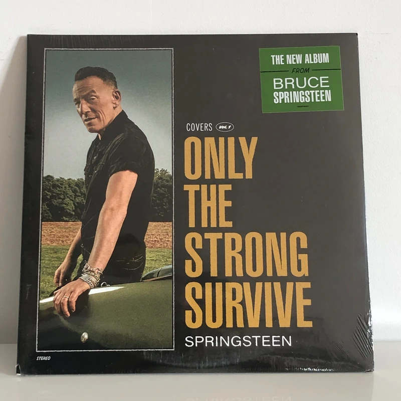 Double vinyle Bruce Springsteen - Only the strong survive
