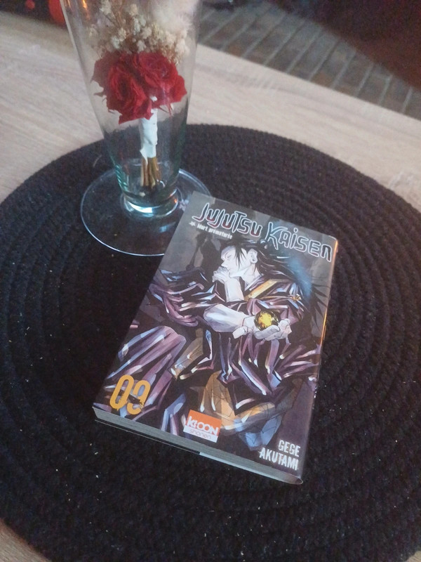 Jujutsu Kaisen – Tome 9 (français) 📚