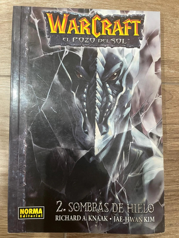 World of Warcraft. El pozo del sol. 2. Sombras de hielo.