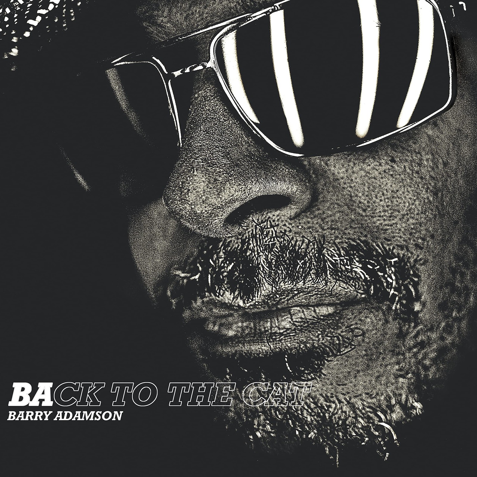 Barry Adamson Back To The Cat LP Vinile BARRY2 NUOVO