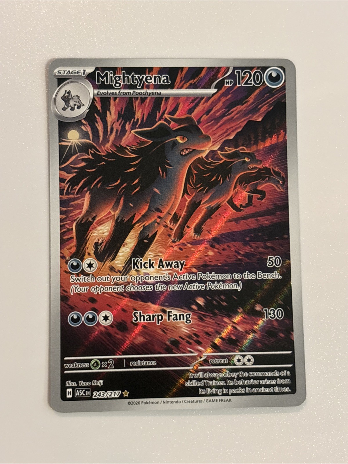 Mightyena 243/217 Illustrazione Rara - ME: Ascended Heroes EN NM Full Art Holo