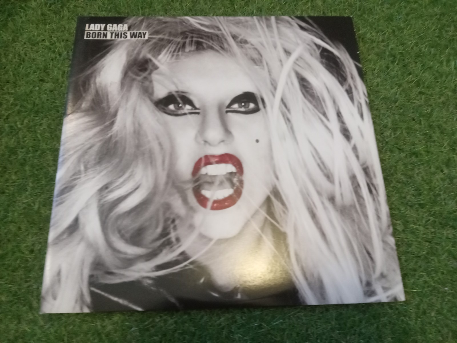 Born this Way by Lady Gaga (Record, 2011)