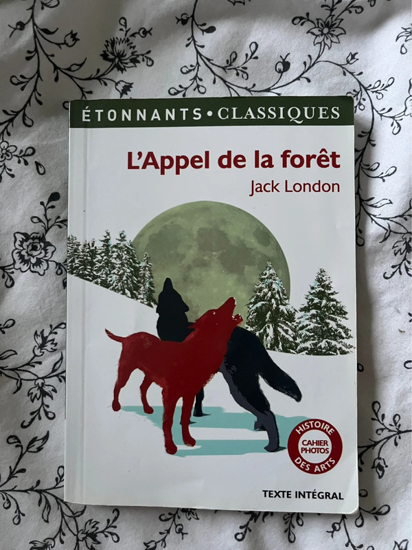 L’appel de la forêt