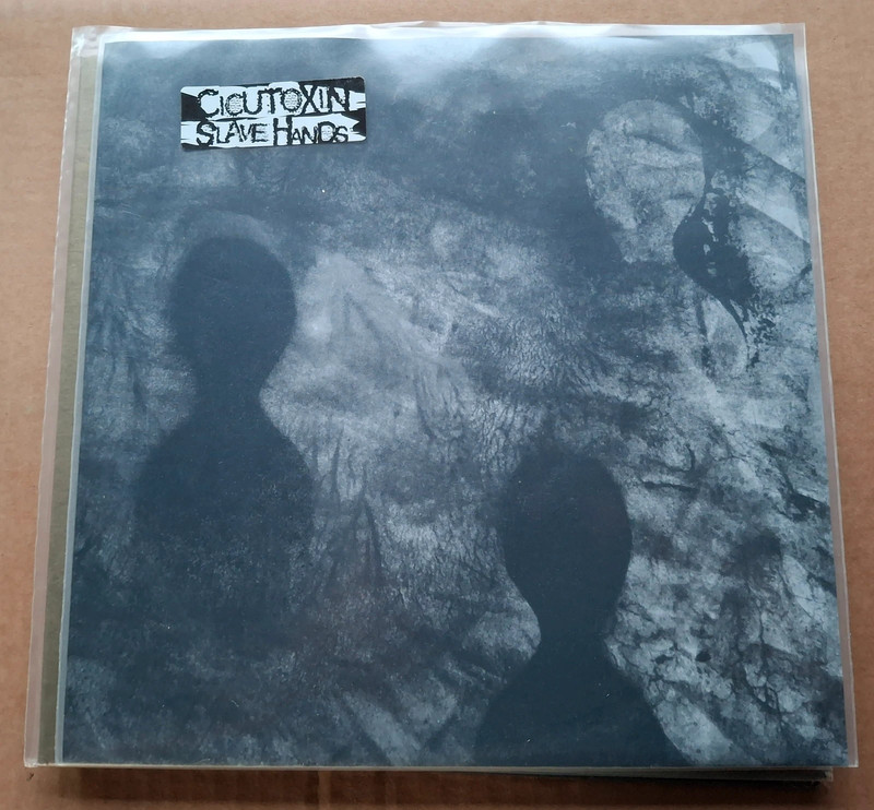 Cicutoxin / Slave Hands - Unholy Storm / IV 10"