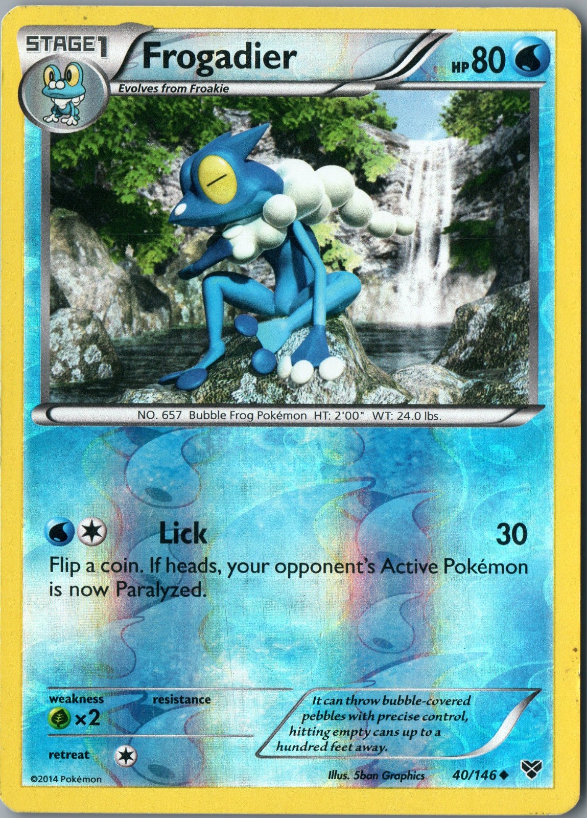 Frogadier Uncommon XY Set Base 40/146 NM Reverse Holo - Pokemon