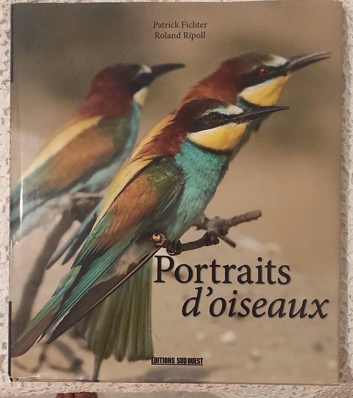 Portraits d 'oiseaux