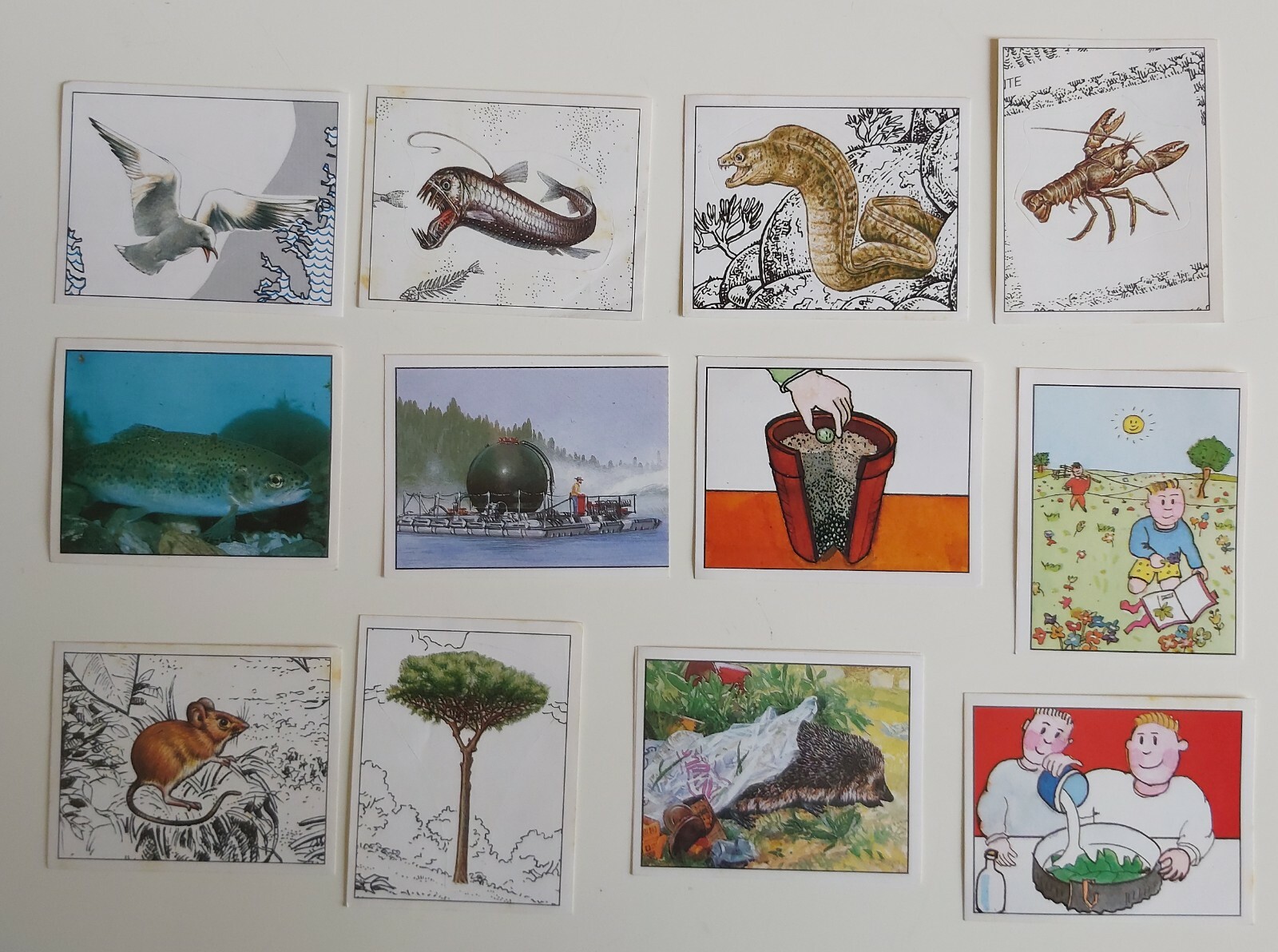 57102 Fg62/ Lotto 12 Figurine - ed. Panini - WWF Natura da salvare