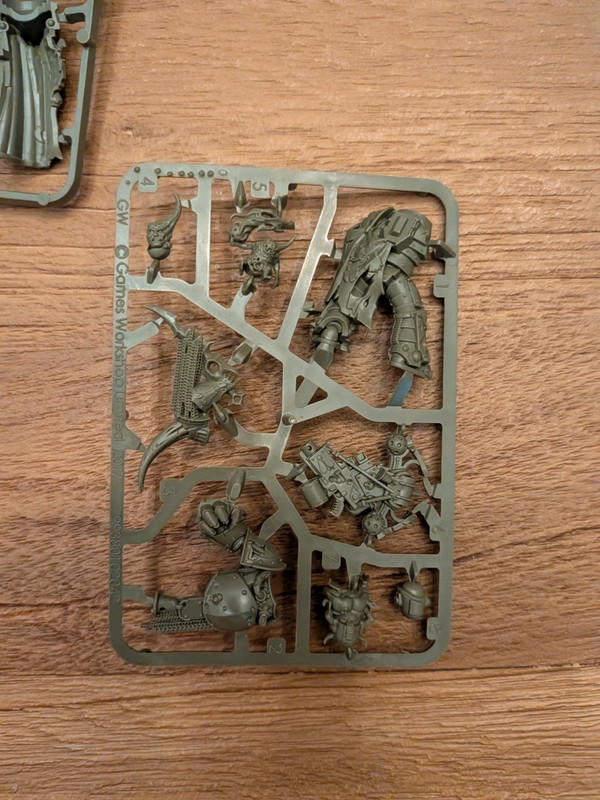 Warhammer DG Champion Marine de la Peste