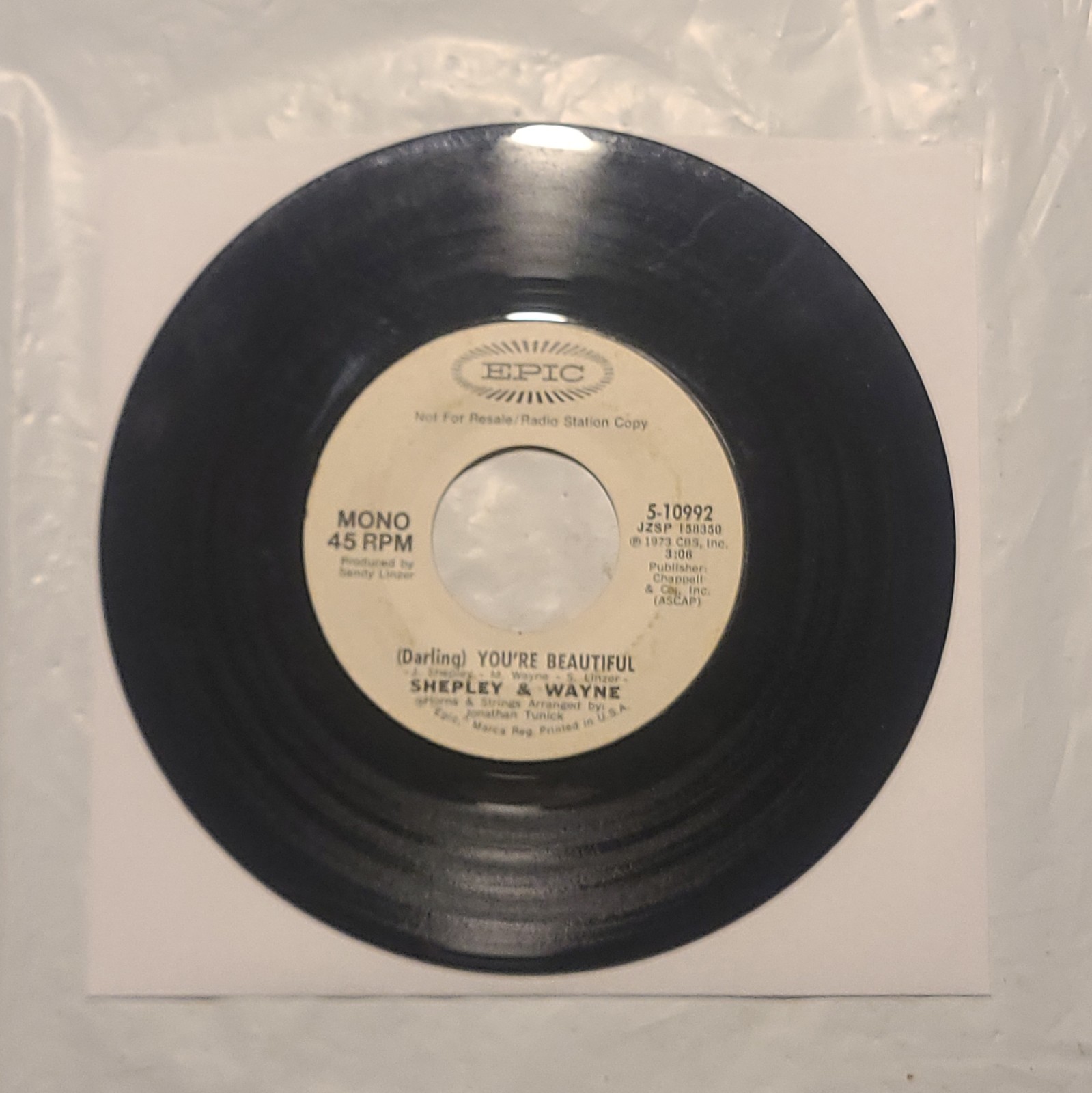 Shepley & Wayne - Darling You're Beautiful/ Same - Epic Promo 45 RPM Record