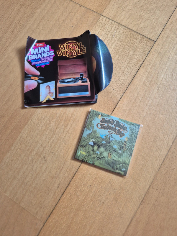 Mini Brands Vinyl good vibrations