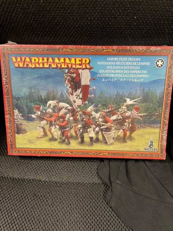 Soldados estatales. Warhammer fantasy
