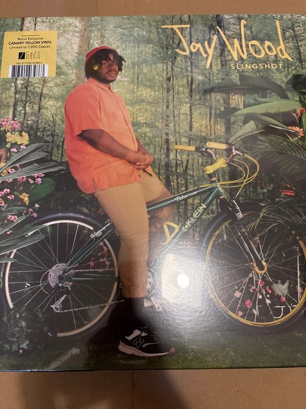 Vinile Jay Wood