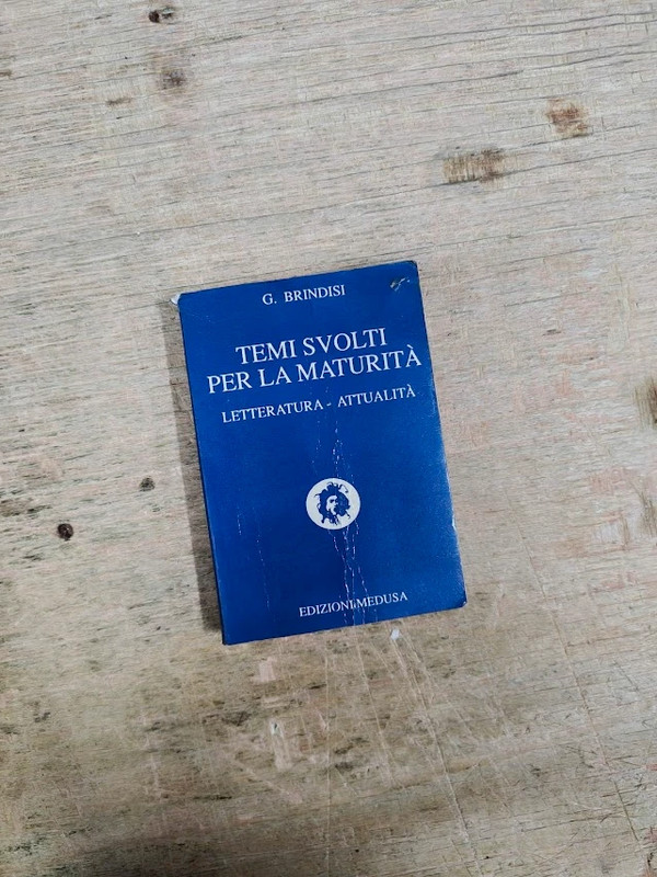 Libro Temi Svolti Per La Maturita G Brindisi Edizioni Medusa Letteratura Attualita Vintage