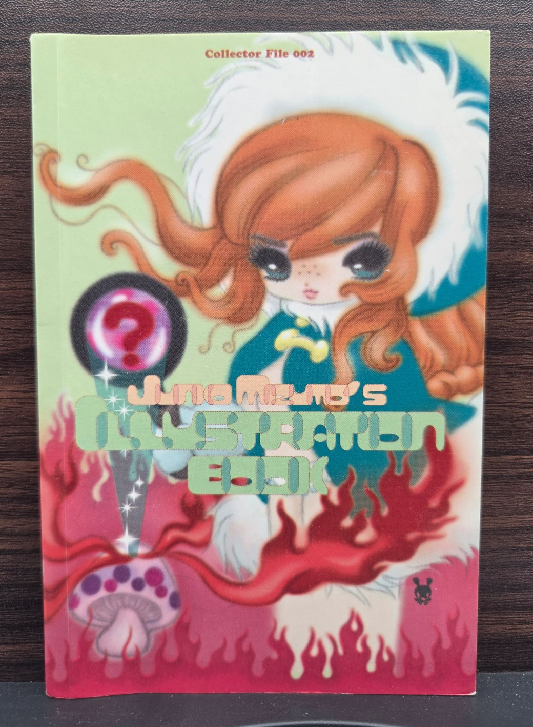 Collector File 002 TP Junko Mizuno Manga Artist RARO Viz 2002 1° stampa