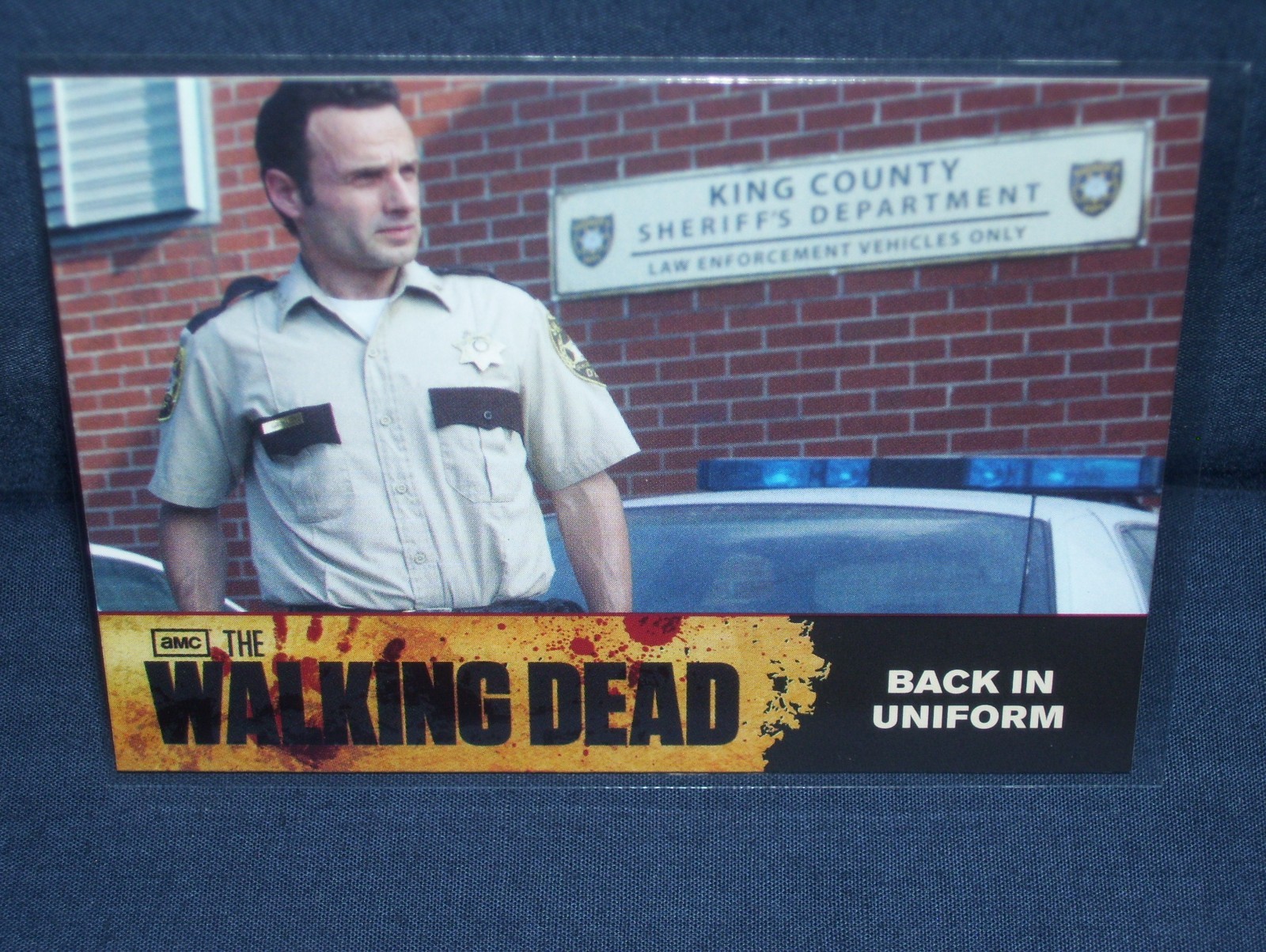 The Walking Dead Trading Card #22 Back In Uniform AMC Cryptozoic 2011 stagione 1