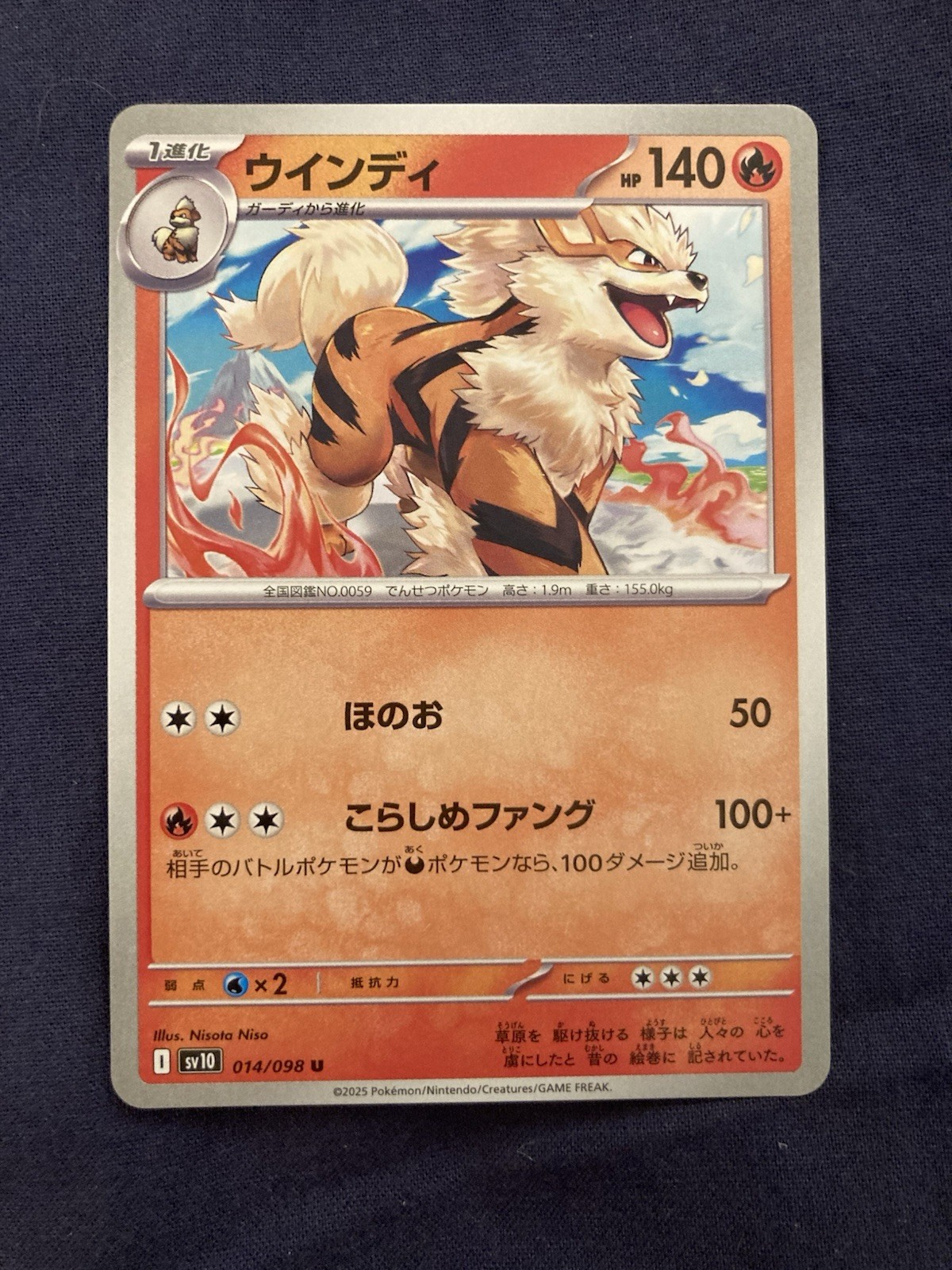 Arcanine 014/098 Sv10: The Glory of Team Rocket Uncommon Regular (Japanese)