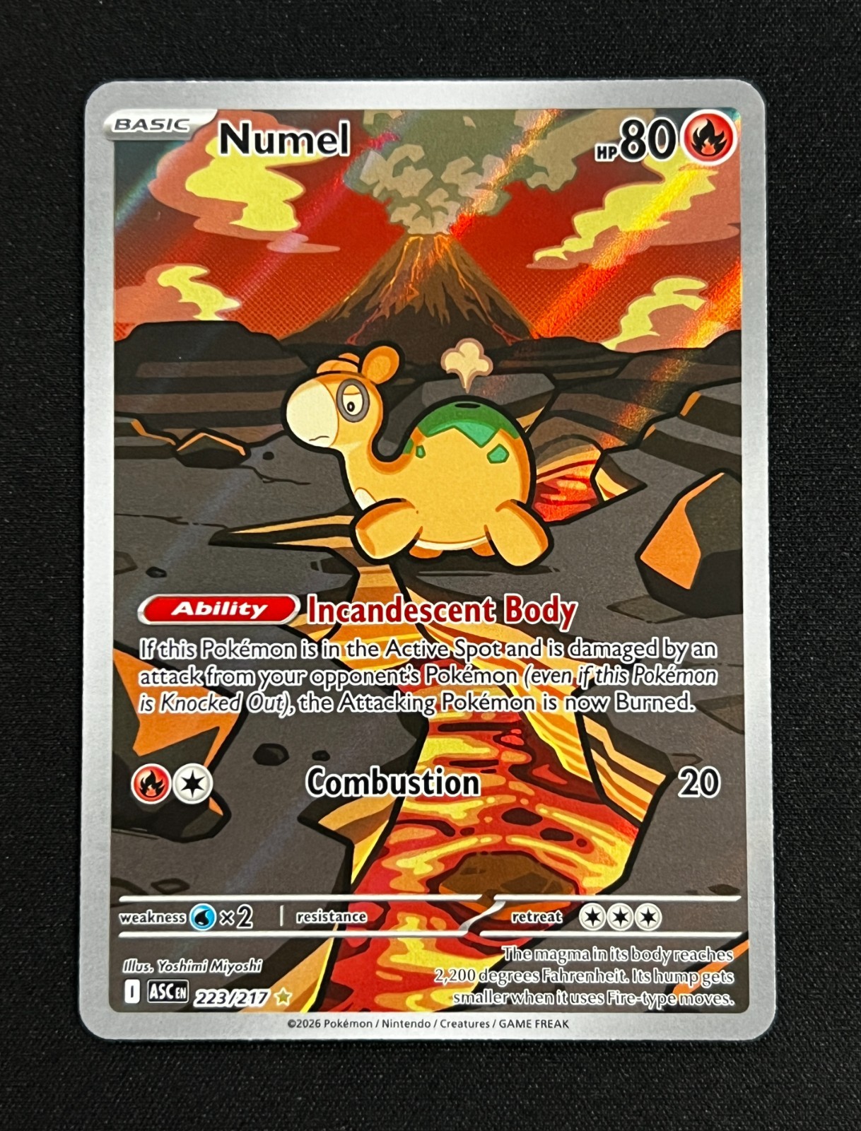 Numel 223/217 Illustrazione Rara Eroi Ascesi Pokemon Holo Near Mint