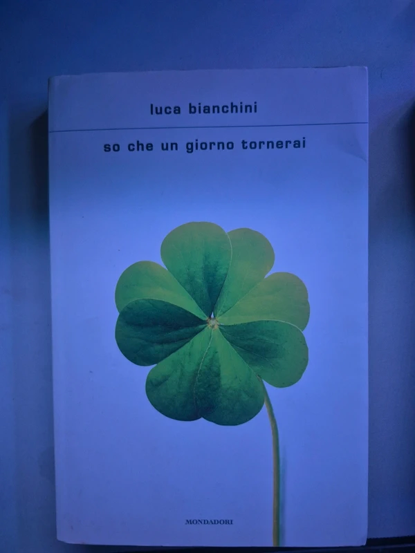 Luca Bianchini "so che un giorno tornerai"