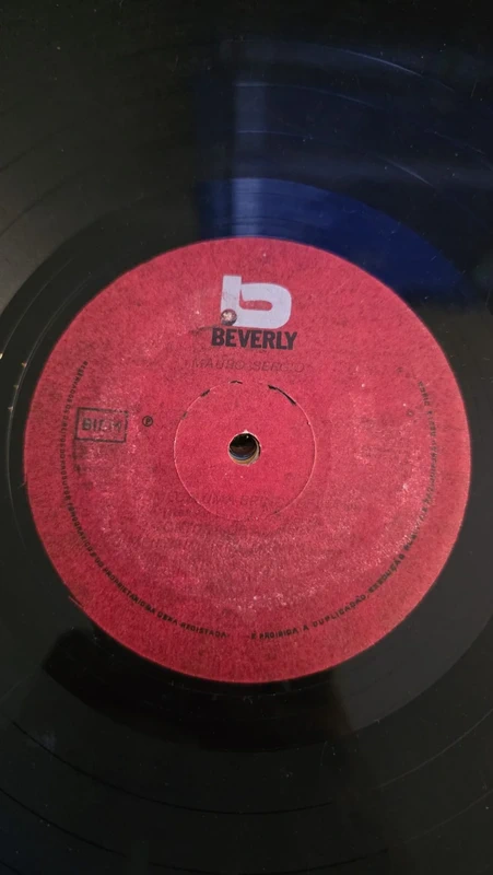 Disco Vinil sem Capa