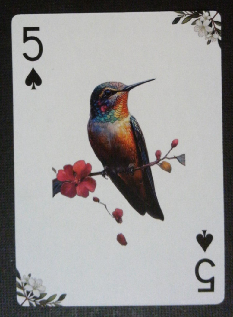 Carte da gioco a tema uccellino Colibrì 5 picche