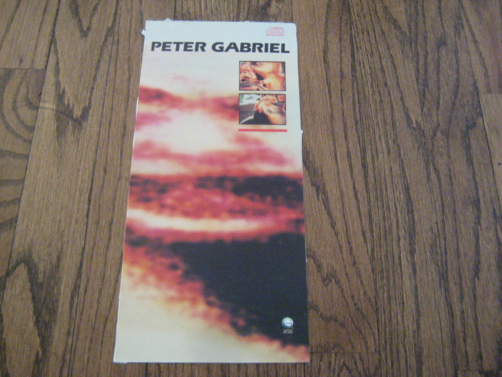 Peter Garbiel  CD Longbox Cover Art Only - Poster