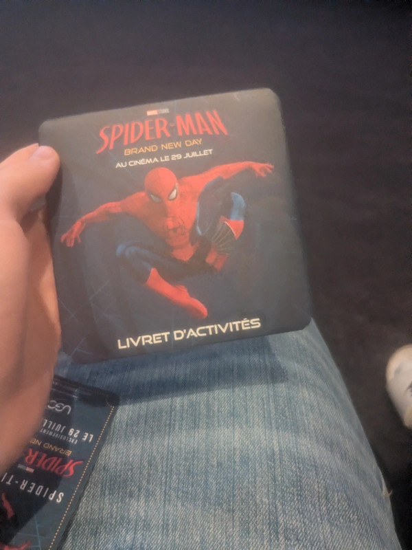 Jeux Spider-Man Cellé collector