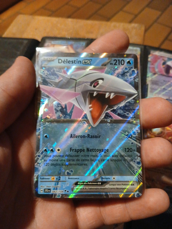Carte Pokemon Délestin EX