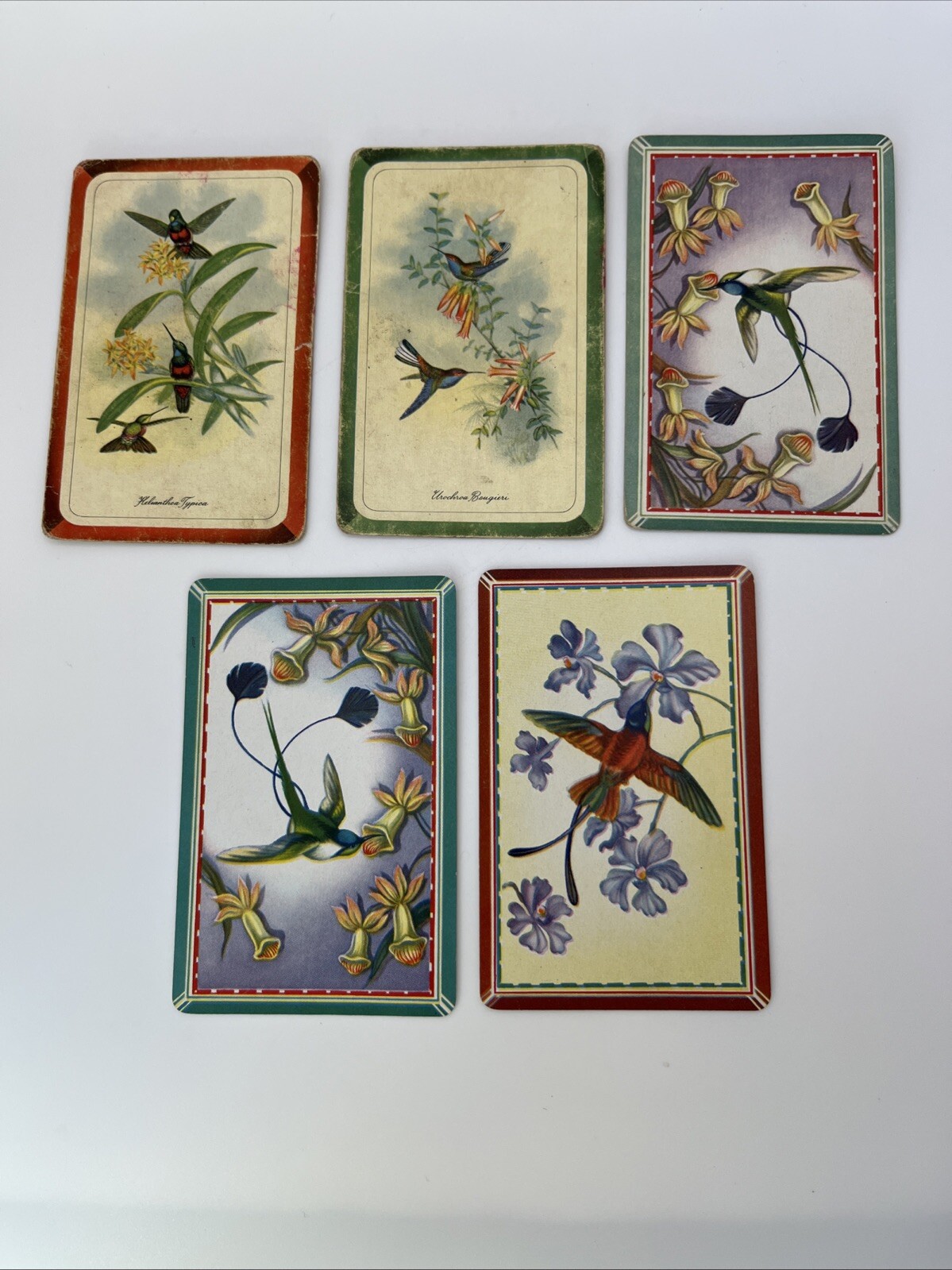 Lotto di 5 carte da gioco scambi anni '60 dorso vuoto uccellino colibrì