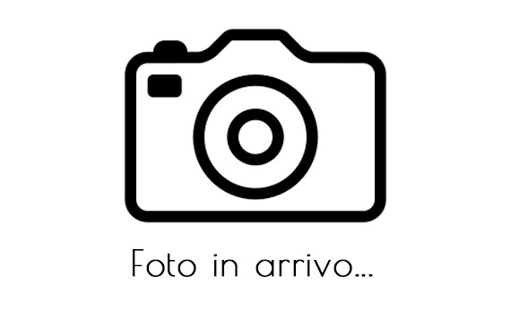 ANDY CAPP - IL LAVORO NON PAGA