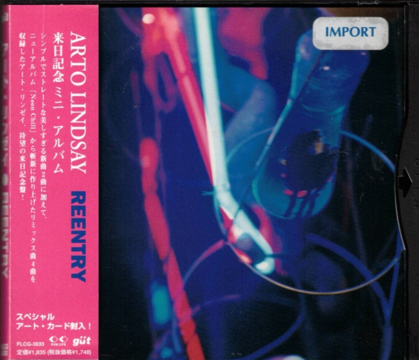 Reentry by Arto Lindsay (CDEP, 1997, Gut Records Japan) VERY GOOD CONDITION