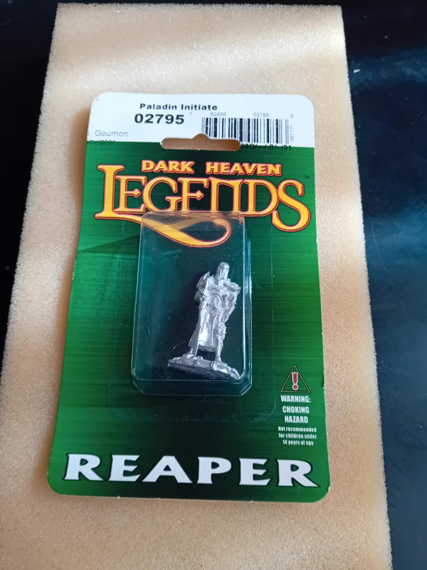 Reaper: Dark Heaven Legends: Paladin Initiate