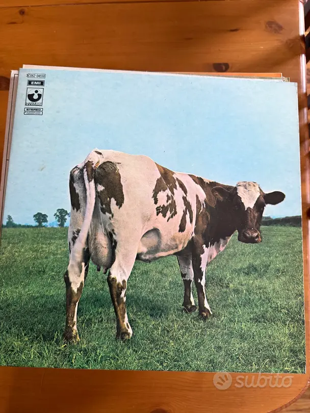 Vinili Pink Floyd