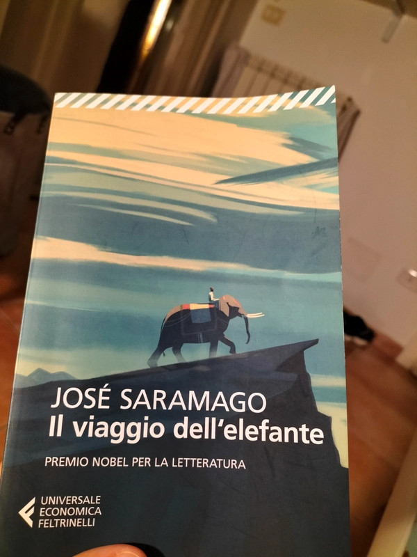 Libro Il viaggio dell' elefante
