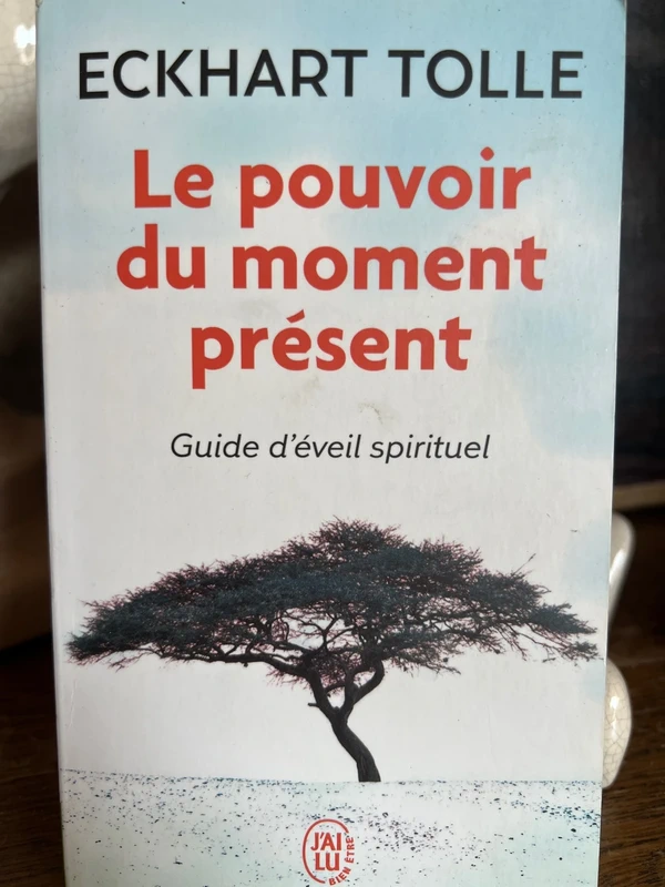 Le pouvoir du moment présent