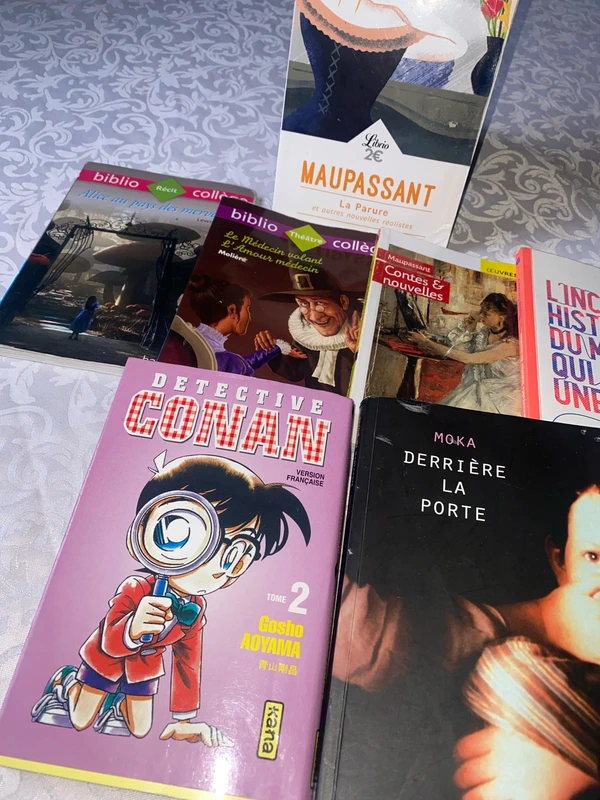 Magnifique lots de 7 livres ado/adulte