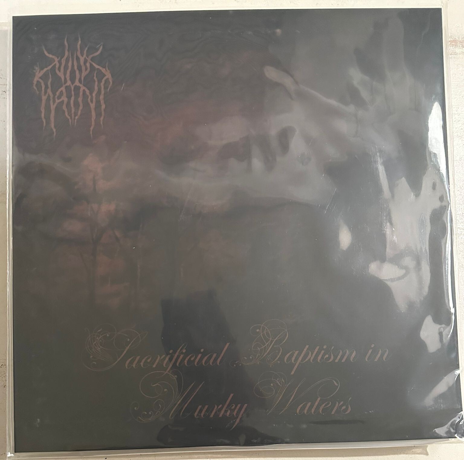 VILE HAINT – SACRIFICIAL BAPTISM IN MURKY WATERS - VINYL LP NEW - A3