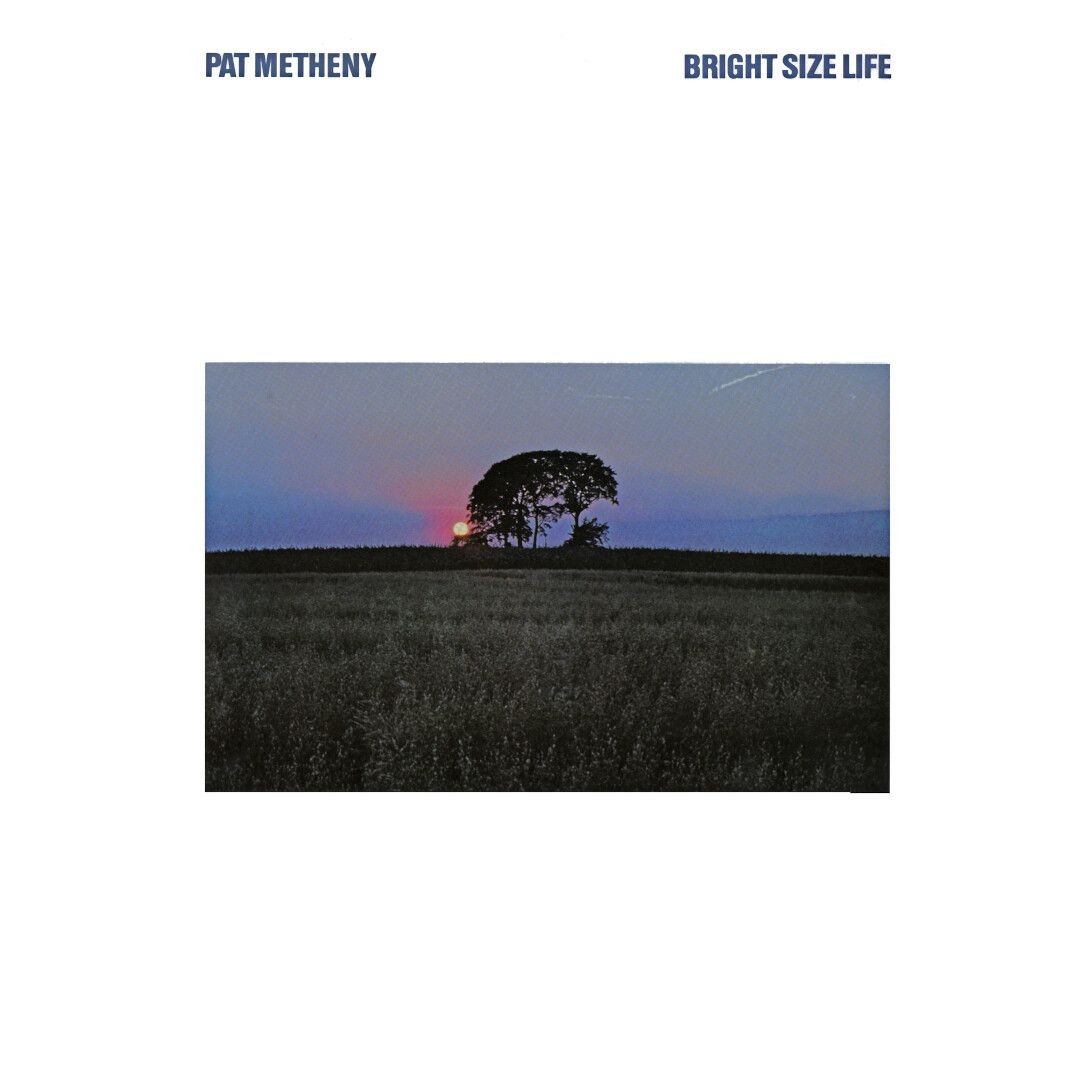 Vinile Pat Metheny - Bright Size Life