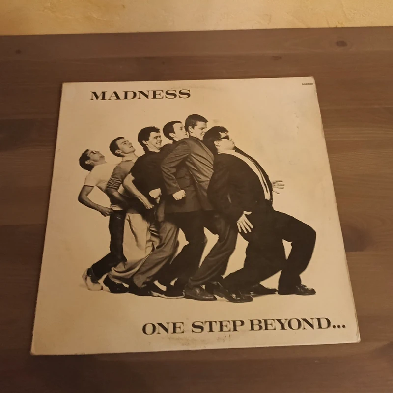 vinyle lp madness
