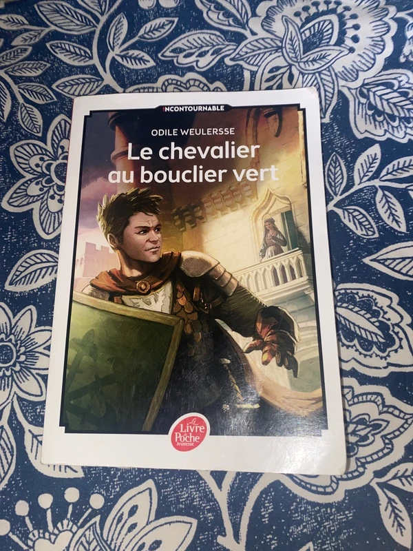 Le chevalier au bouclier vert