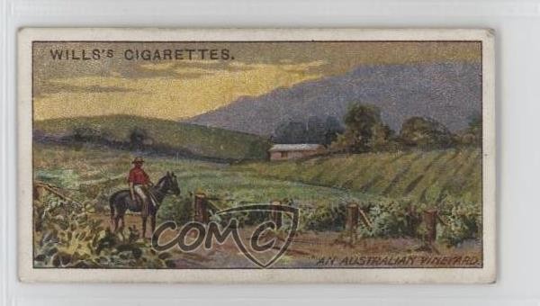 1915 Wills Overseas Dominions (Australia) Tabacco An Australian Vineyard #40 1i3
